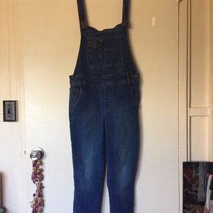 Free People Denim Overalls